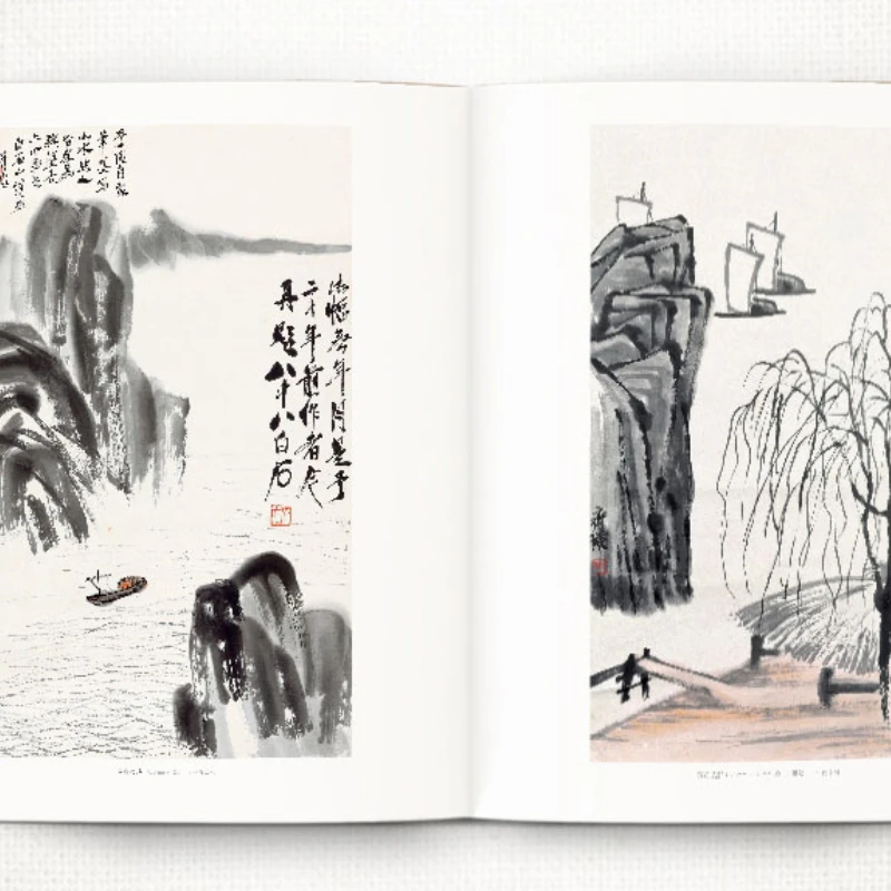 צ ' י Baishi דיו ספרי ציור ביד חופשית ציור העתקת ספר צביעה ספרים סיני חיה צמח ציור טכניקה לימוד הספר התמונה 5